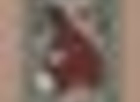 Tiny thumb tomelo 1 480 350