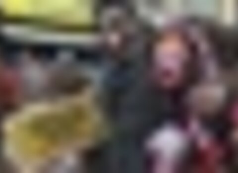 Tiny thumb velhos de bru   1 480 350