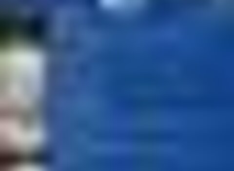 Tiny thumb programa amendoeiras em flor 1 480 350