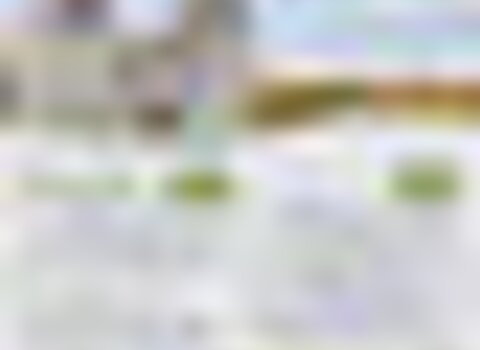 Tiny thumb feira franca moimenta 1 480 350