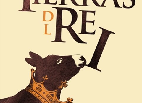 Galeria 421 1 1 480 350