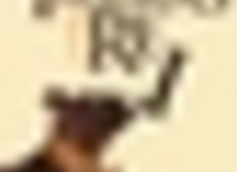 Tiny thumb galeria 421 1 1 480 350