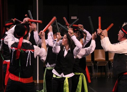 Pauliteiros 1 480 350