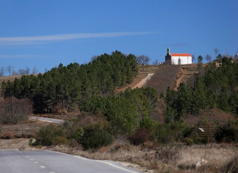 T03 01   30   medium  1 480 350