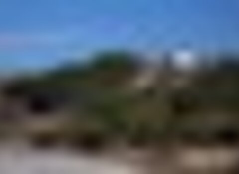 Tiny thumb t03 01   30   medium  1 480 350