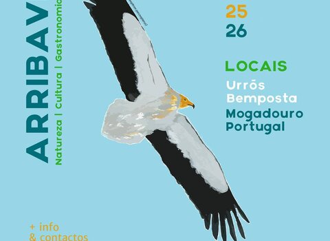 Arribaves2016cartaz1 1 480 350