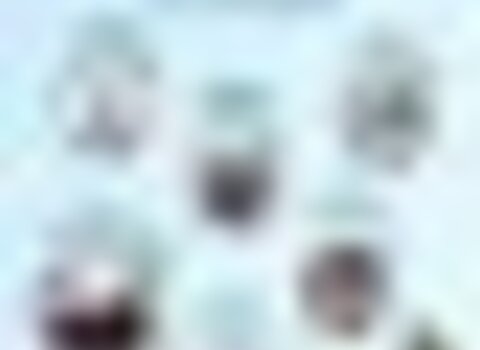 Tiny thumb image 1 480 350