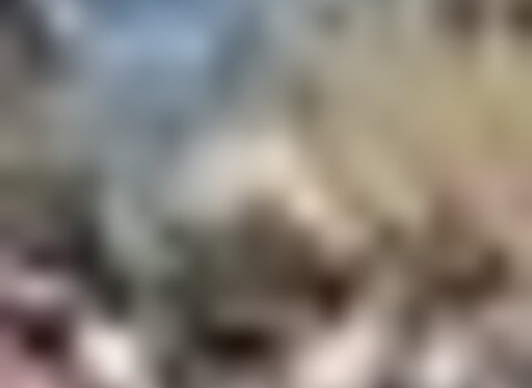 Tiny thumb 332388 476035392418063 325840276 o 1 480 350