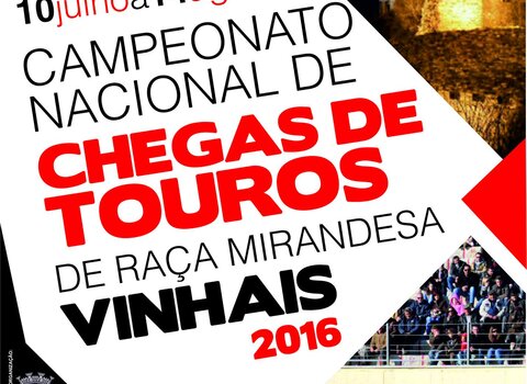 Campeonato chegas touros 1 480 350
