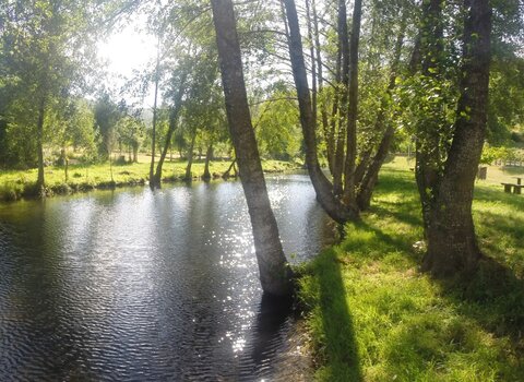 Gopr0221  medium  1 480 350