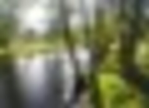 Tiny thumb gopr0221  medium  1 480 350