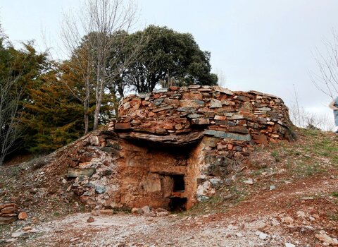 T10 03   2   medium  1 480 350