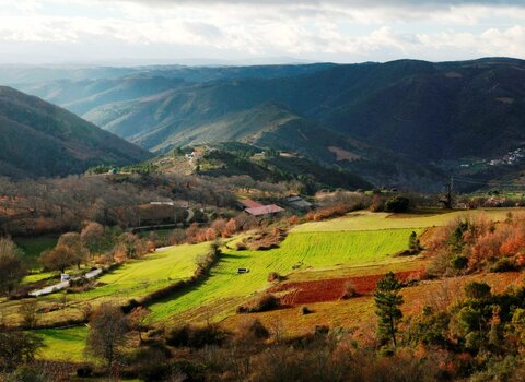 T08 04   26   medium  1 480 350