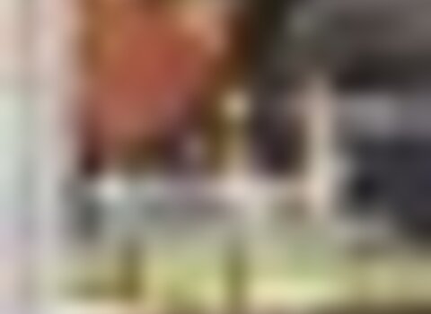 Tiny thumb gra a morais  medium  1 480 350