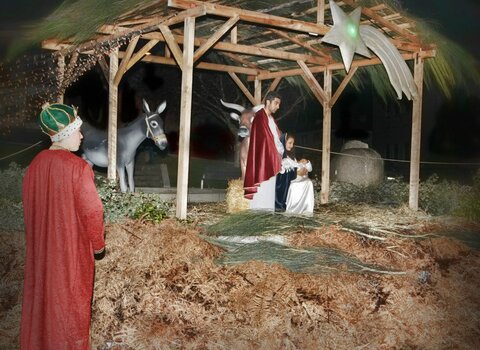 Pres pio vivo 1 1 480 350