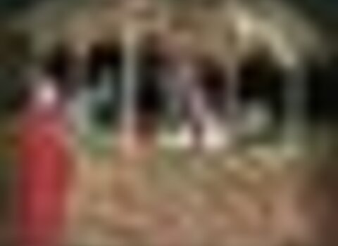 Tiny thumb pres pio vivo 1 1 480 350