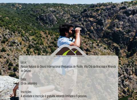 Cartaz bird 1 480 350