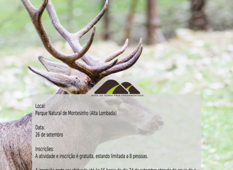 Cartaz brama 1 480 350