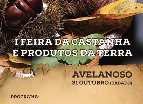 Feira avelanoso 1 480 350