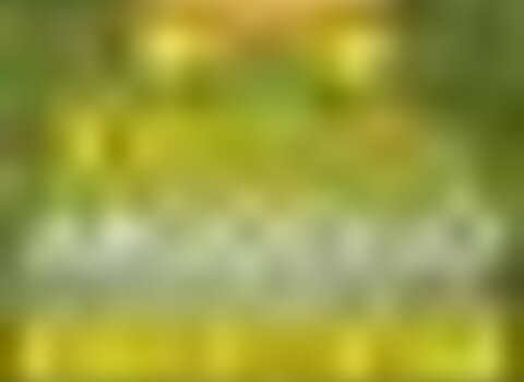 Tiny thumb cartaz rosquilha 2017  medium  1 480 350