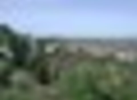 Tiny thumb vista quintanilha  medium  1 480 350