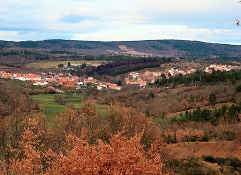 T02 01   2   medium  1 480 350