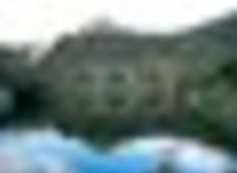 Tiny thumb ponte algoso  medium  1 480 350