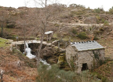 T09 10   25   medium  1 480 350