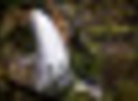 Tiny thumb cascata negreda1  medium  1 480 350