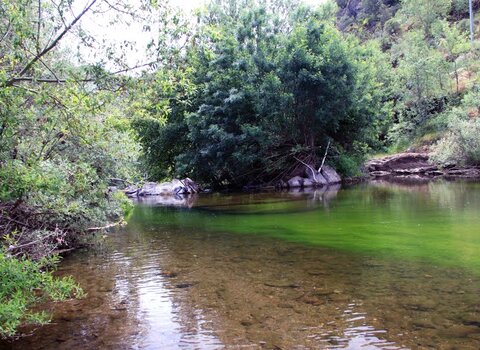 Praia car ao 1 480 350