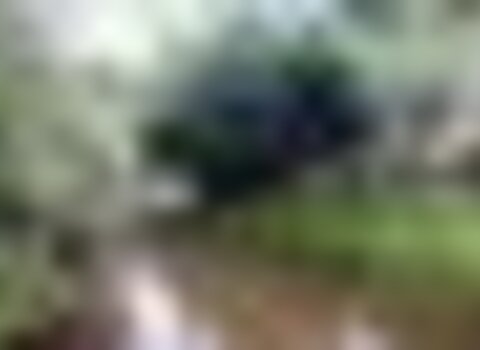 Tiny thumb praia car ao 1 480 350