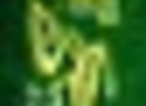 Tiny thumb cartaz santulhao 1 480 350