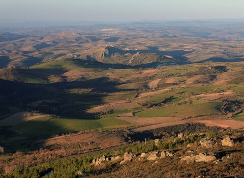 T05 03   3   medium  1 480 350