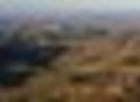 Tiny thumb t05 03   3   medium  1 480 350