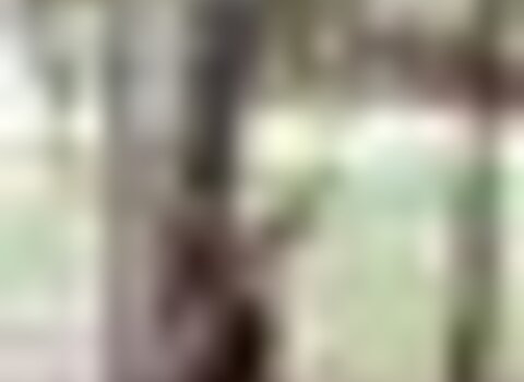 Tiny thumb cartaz2017  medium  1 480 350