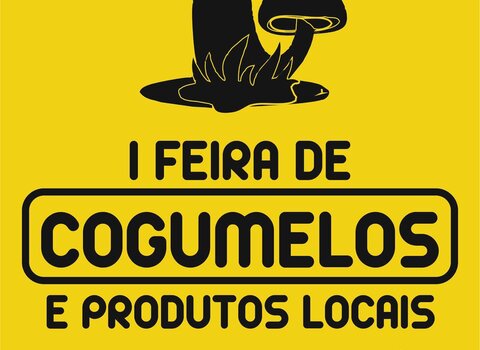 15002313 1272951616095657 4837536723790000843 o 1 480 350