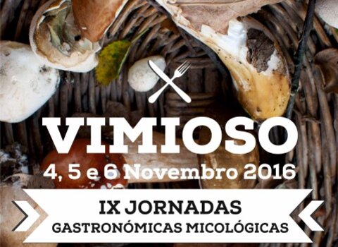 Cartaz micologico  small  1 480 350