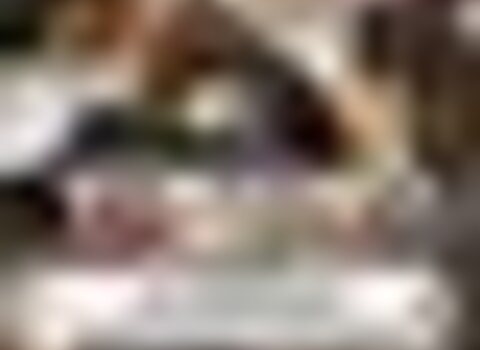 Tiny thumb cartaz micologico  small  1 480 350
