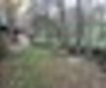 Tiny thumb img 2455  medium  1 150 125