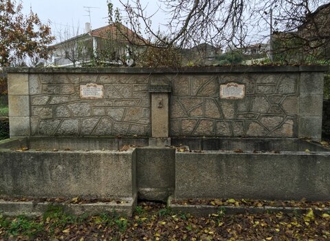 Img 2463  medium  1 480 350