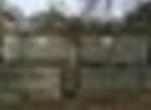 Tiny thumb img 2463  medium  1 480 350