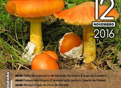 Cartaz final 1 980 2500 1 480 350