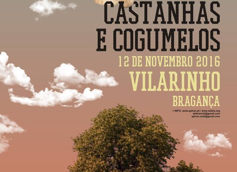 Cartaz aldeia cogumelos 1 480 350