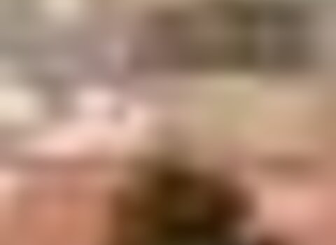 Tiny thumb cartaz aldeia cogumelos 1 480 350