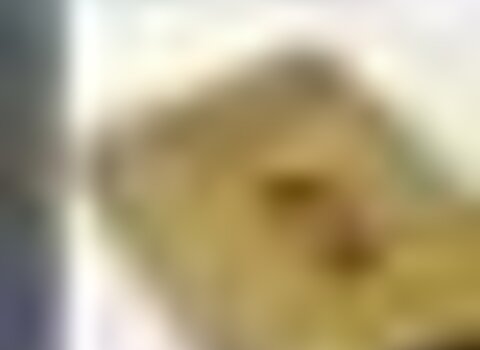 Tiny thumb cartaz casadeespanto 1 480 350