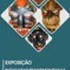 Thumb expo amavel antao 1 100 100