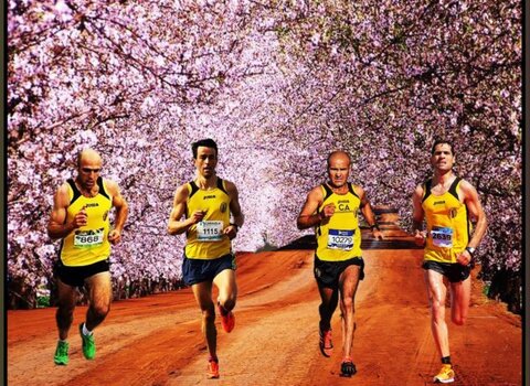 Trilhos am flor 17 1 980 2500 1 480 350