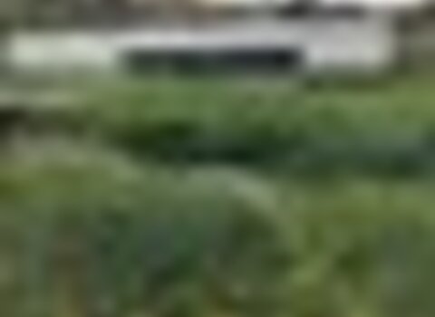 Tiny thumb img 4273  medium  1 480 350