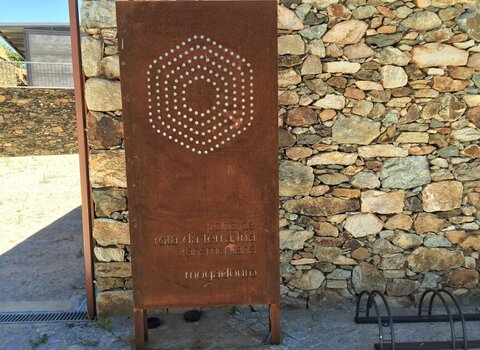 Img 3295  medium  1 480 350