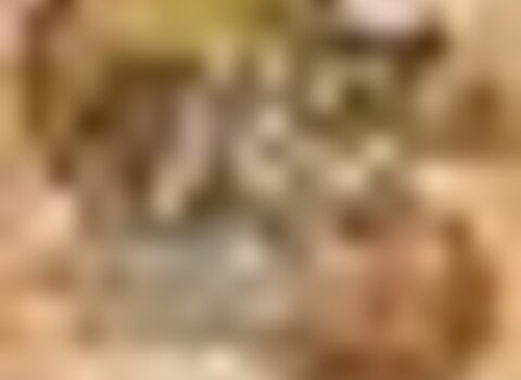 Tiny thumb boladoce 1 480 350